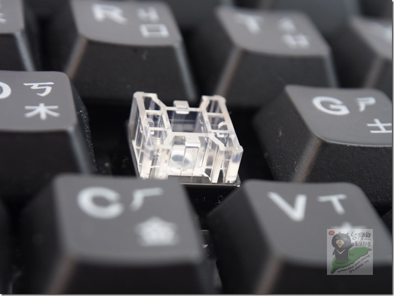 K19