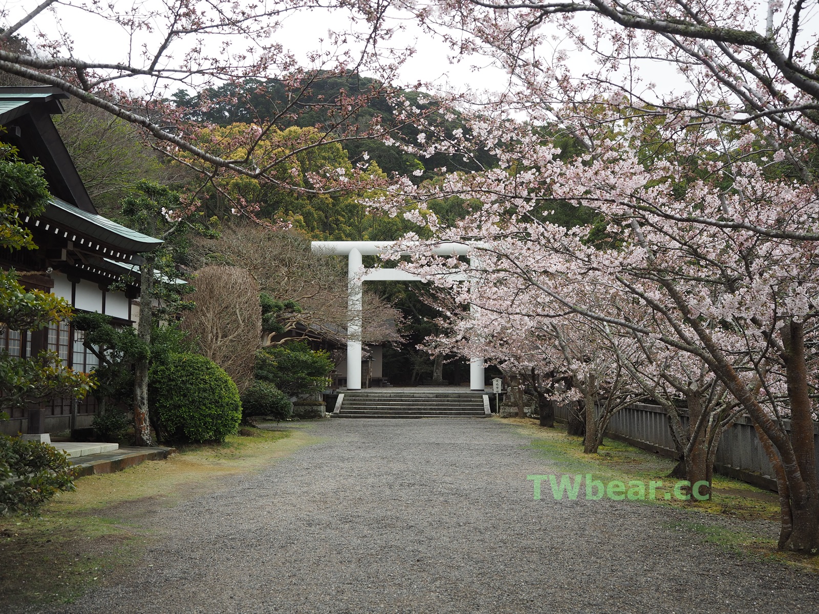 熊愛旅行 日本千葉 清幽雅致神境 櫻花紅葉新綠名所 超過2670年悠久歷史座落館山的安房國一之宮 安房神社 台灣熊部落格